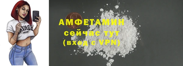 СК Алексин