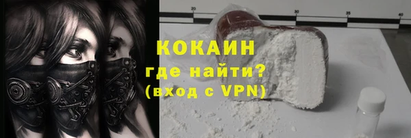СК Алексин