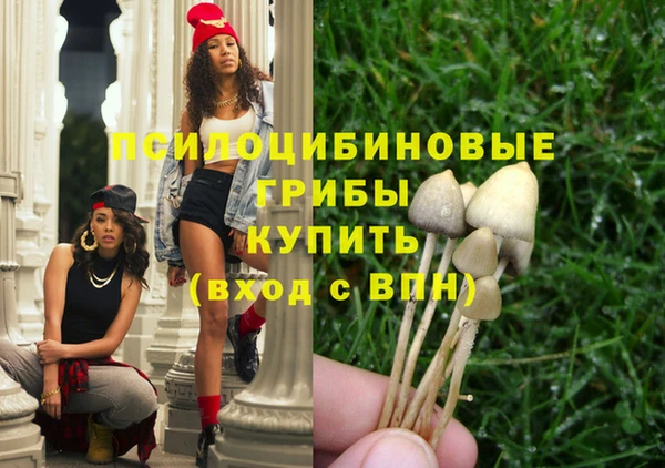 соль курить ск Осинники
