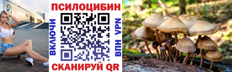 Псилоцибиновые грибы Psilocybe  Цивильск 